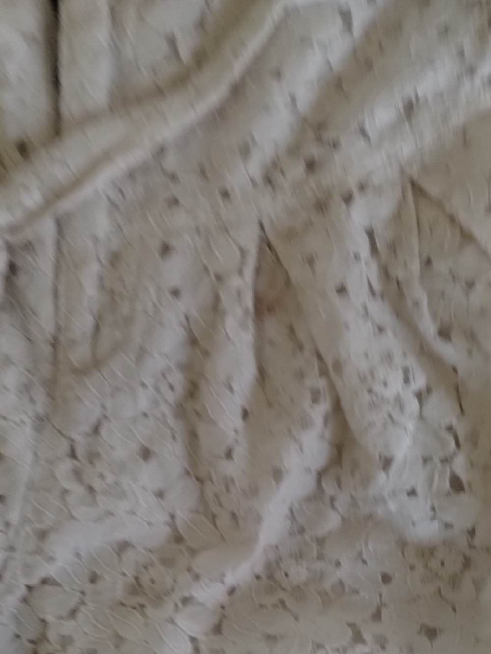 Free People Cream Lace Overlay Women's Shorts - Picture 13 of 16